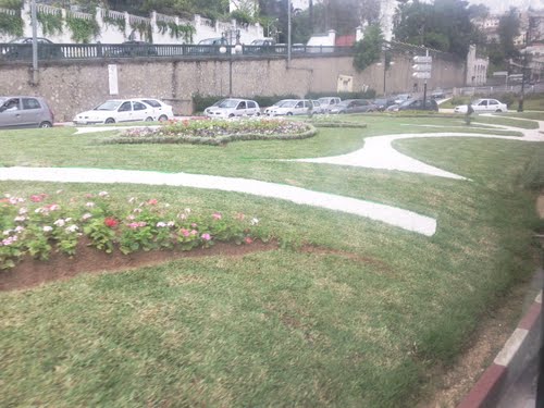 Alger, la blanche